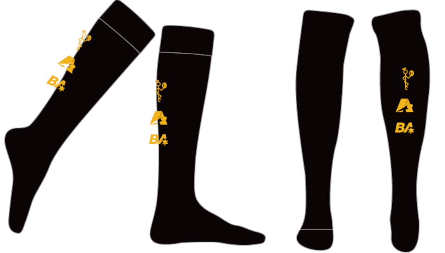 GOODWOOD SAINTS SNR SOCKS